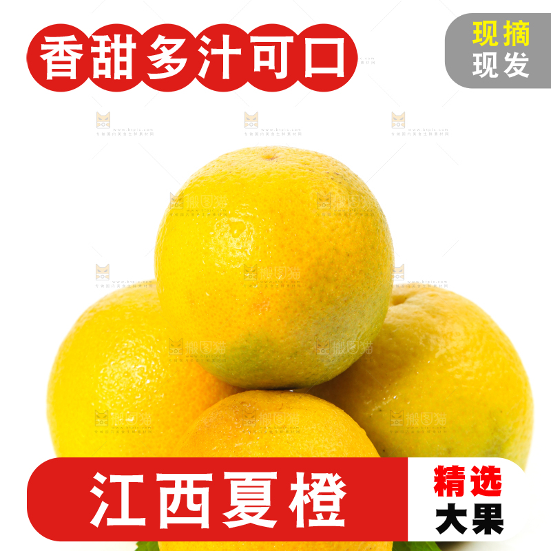 白底上放着的夏橙
