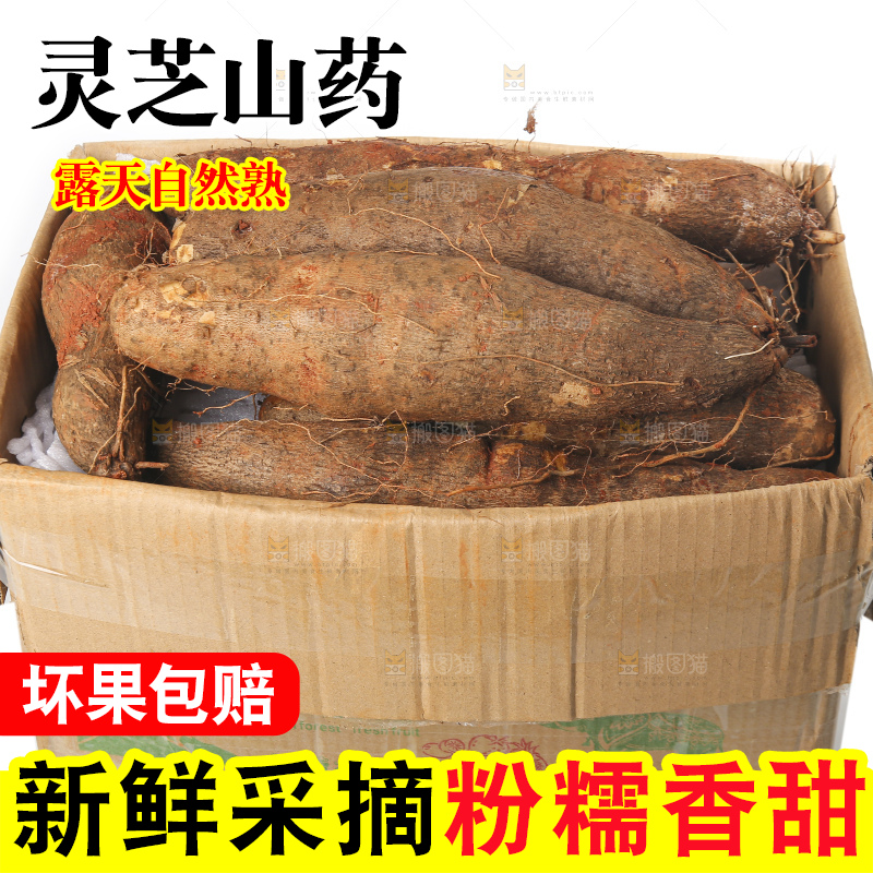 白底上放着灵芝山药