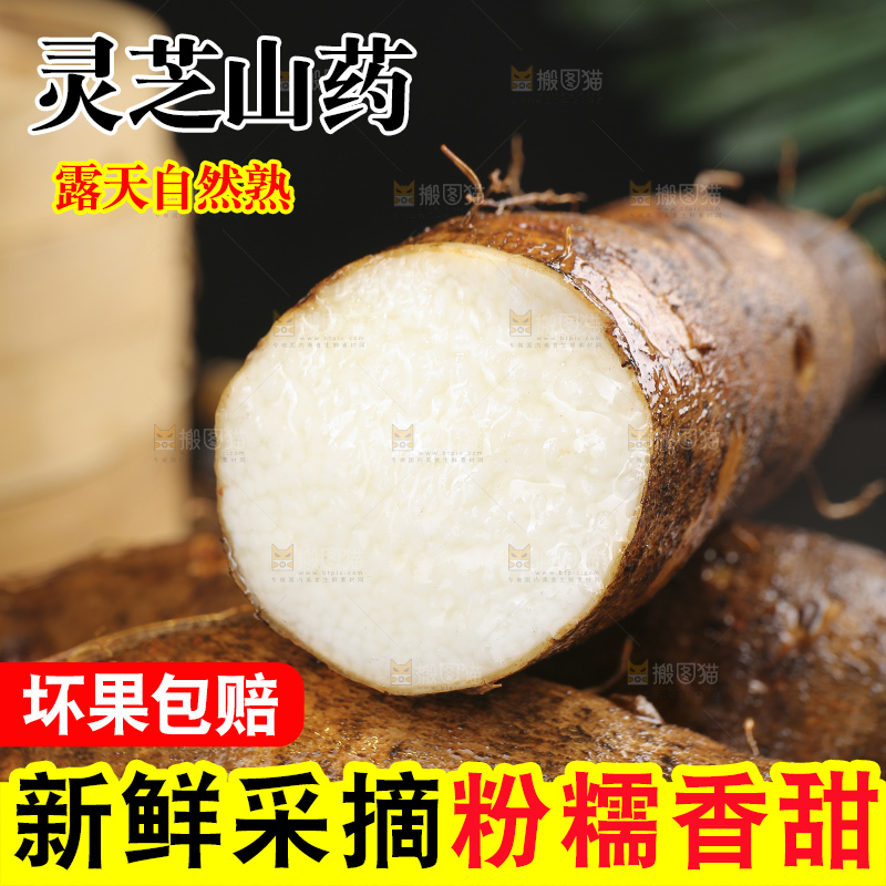 深底上的灵芝山药