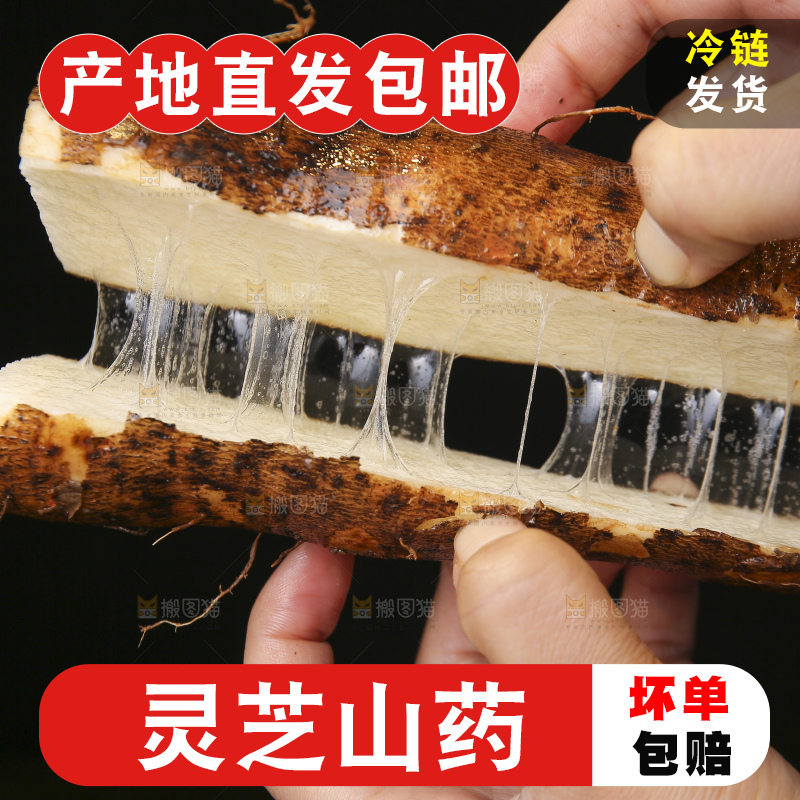 手里拿着拉丝灵芝山药