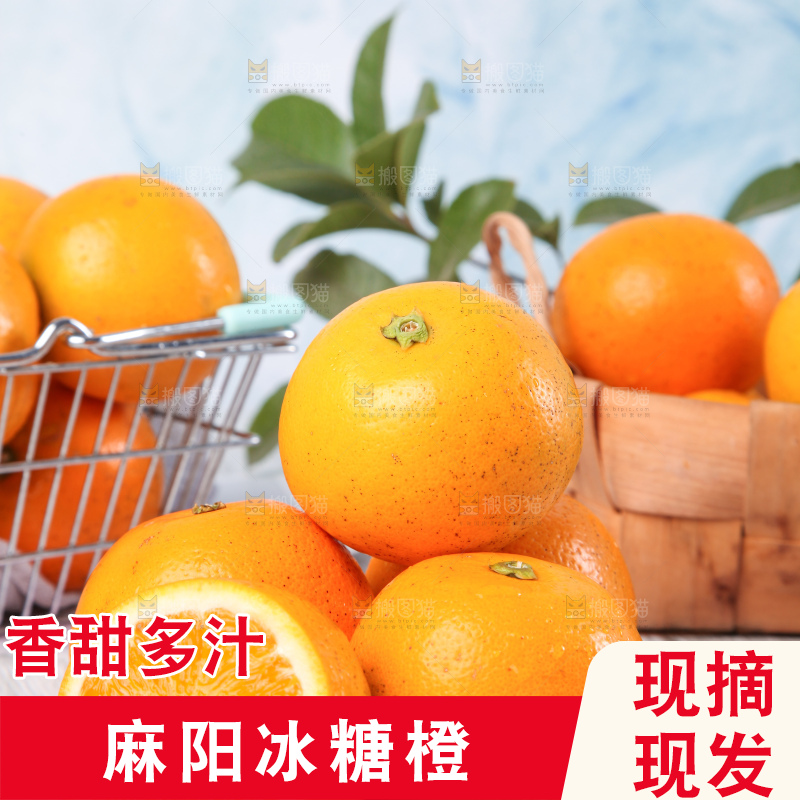 浅底上的麻阳冰糖橙