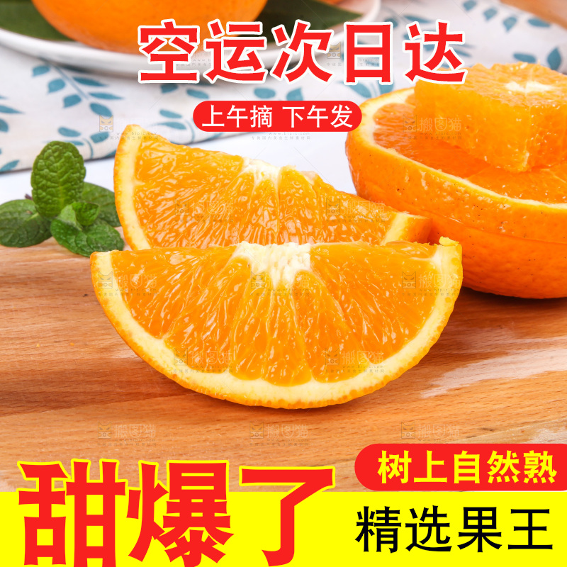 白底上放着青见柑橘