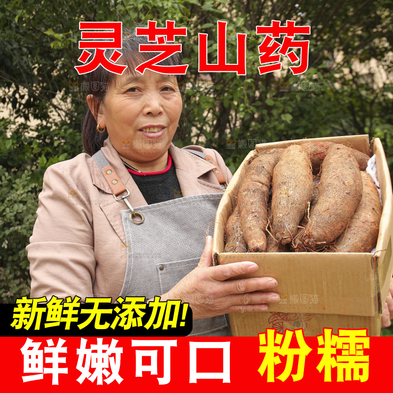 手里拿着灵芝山药