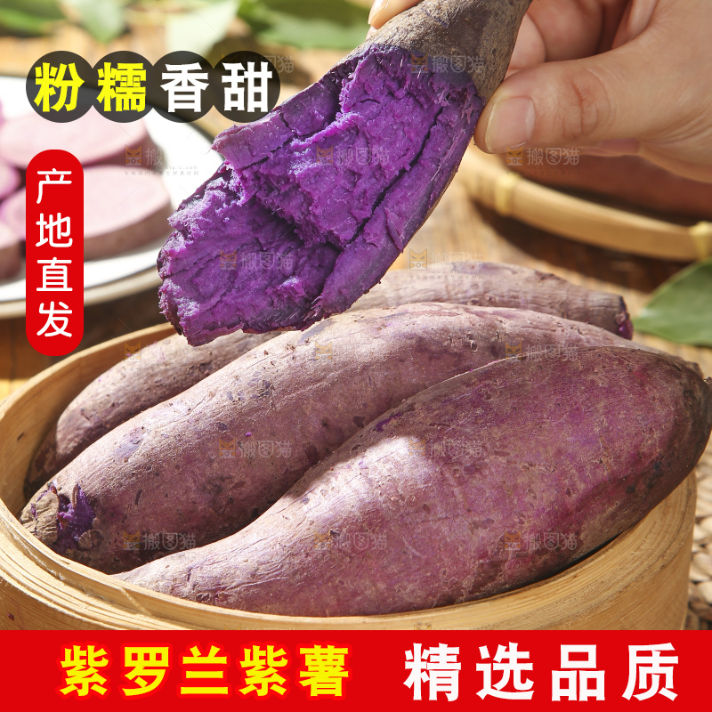 木底上的沙地紫薯
