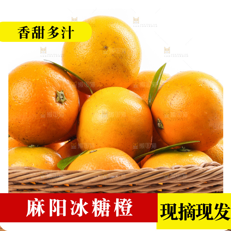 白底上的麻阳冰糖橙