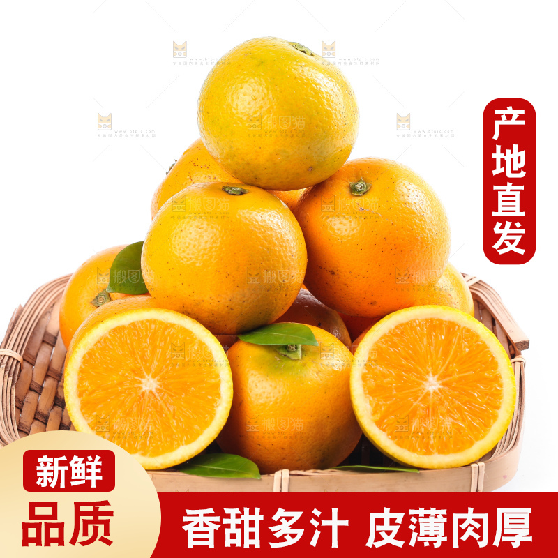 白底上的麻阳冰糖橙