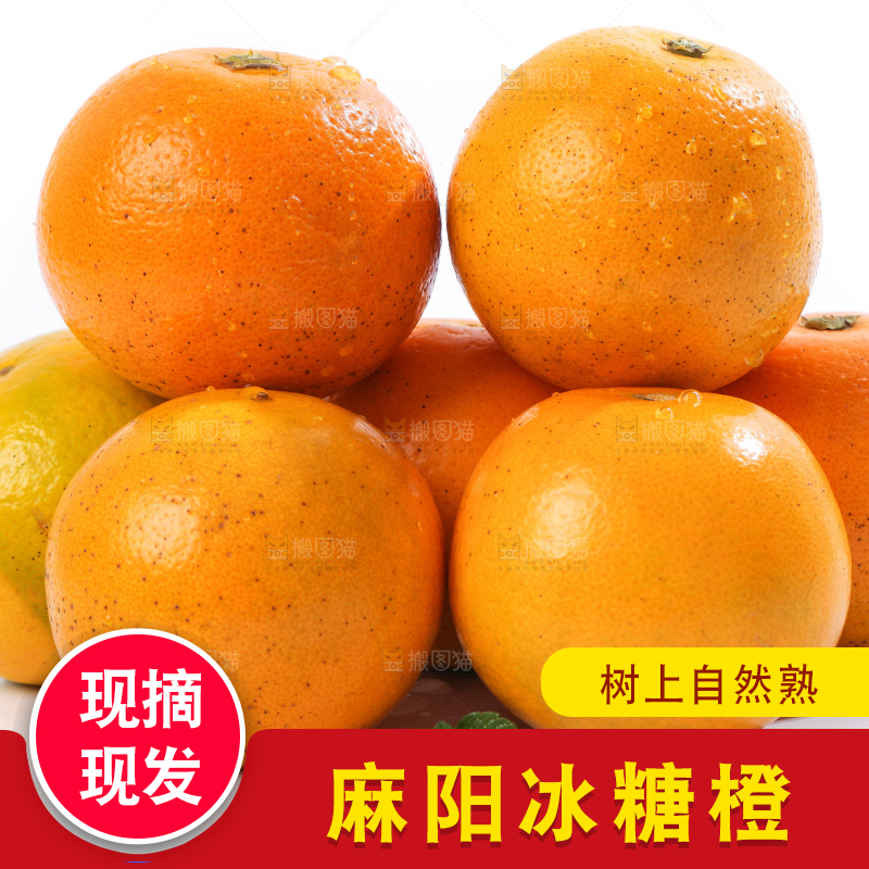 白底上的麻阳冰糖橙