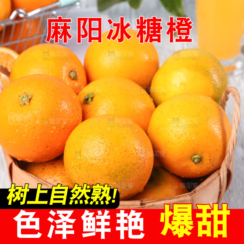 浅底上的麻阳冰糖橙