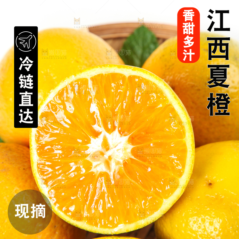 白底上放着的夏橙