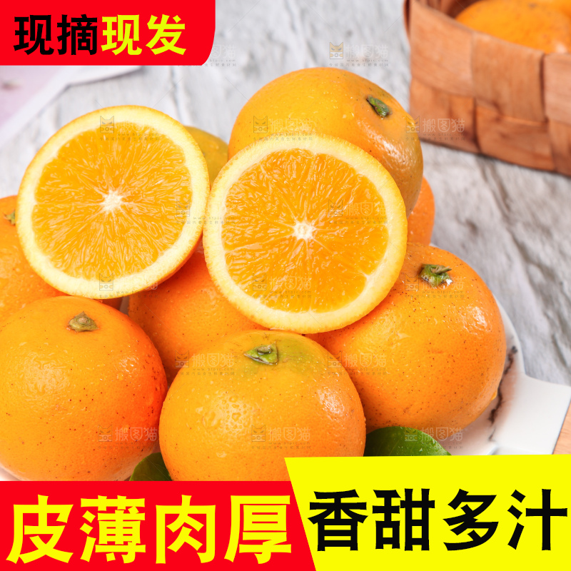 浅底上的麻阳冰糖橙