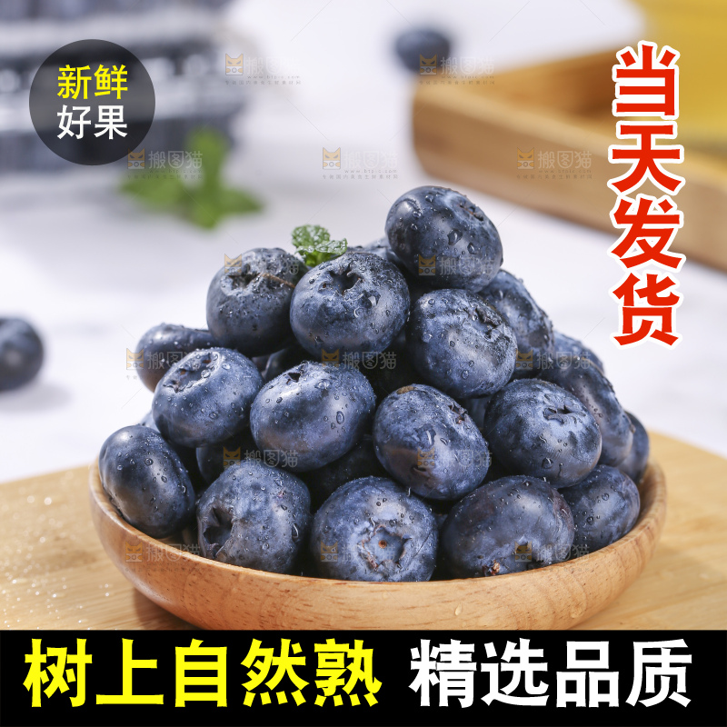 浅底上的新鲜蓝莓