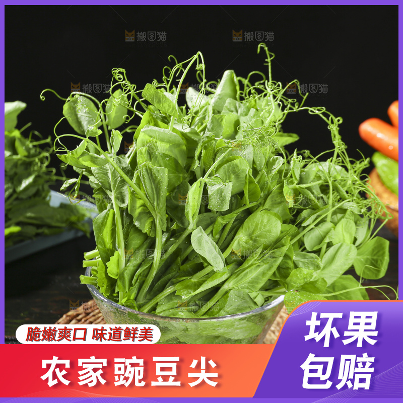 深底上的豌豆苗