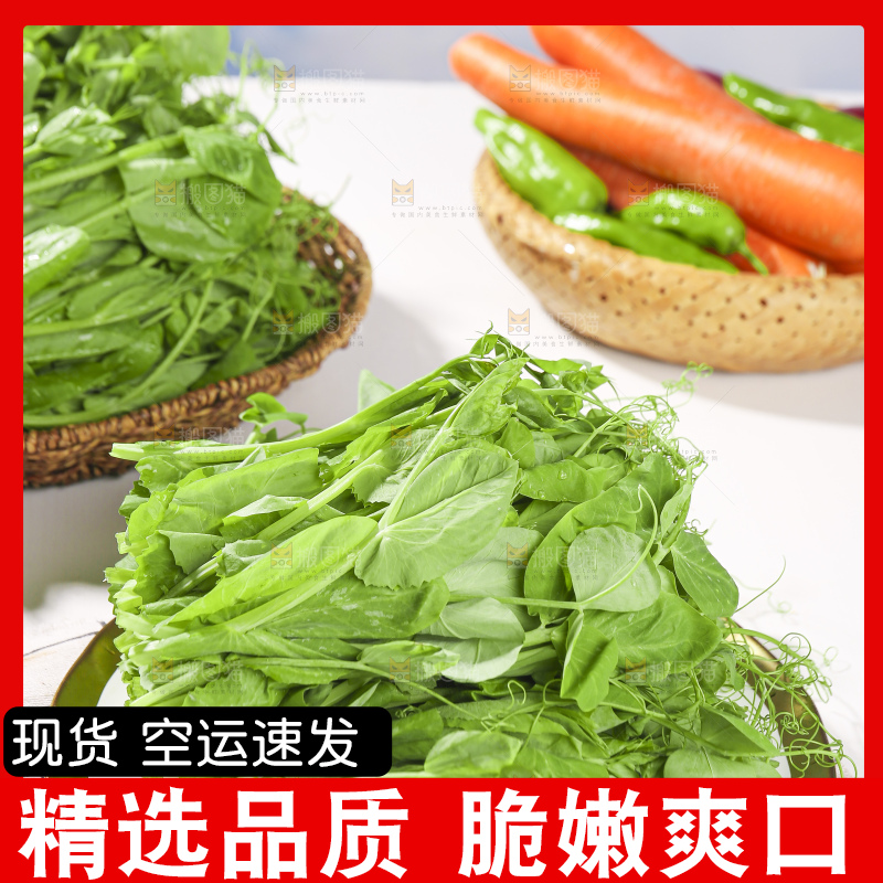 浅底上的豌豆尖