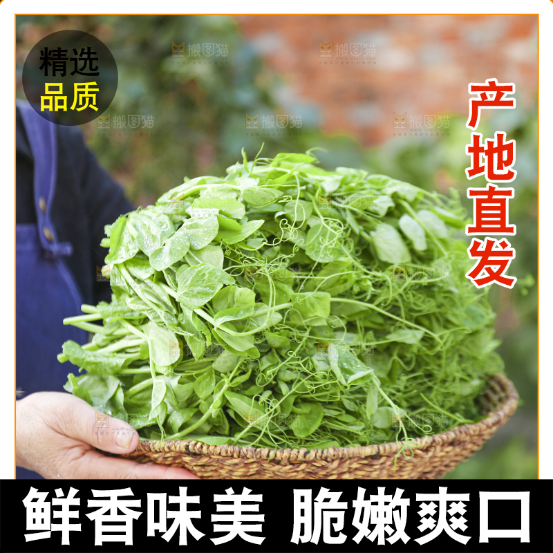 手里拿着豌豆尖
