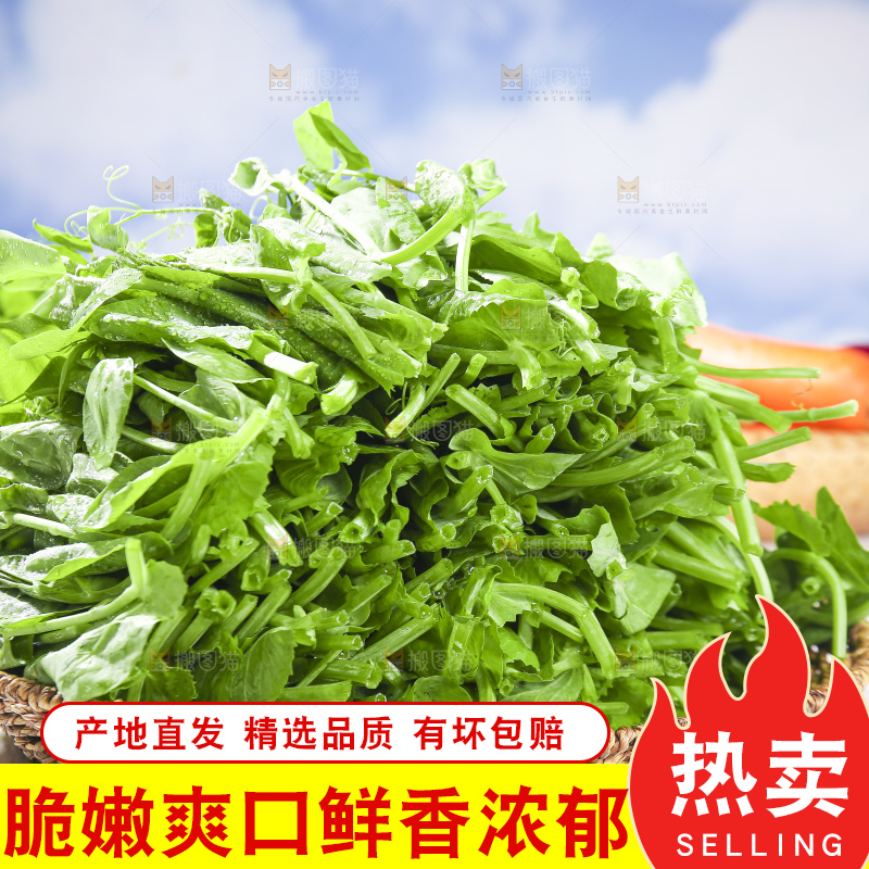 浅底上的豌豆尖