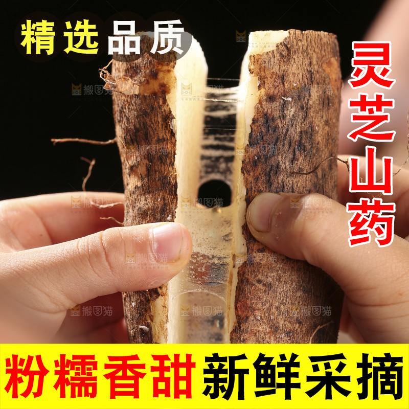 手里拉丝的灵芝山药