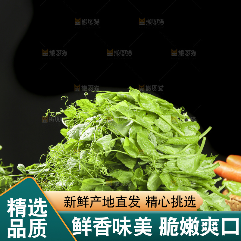 深底上的豌豆苗