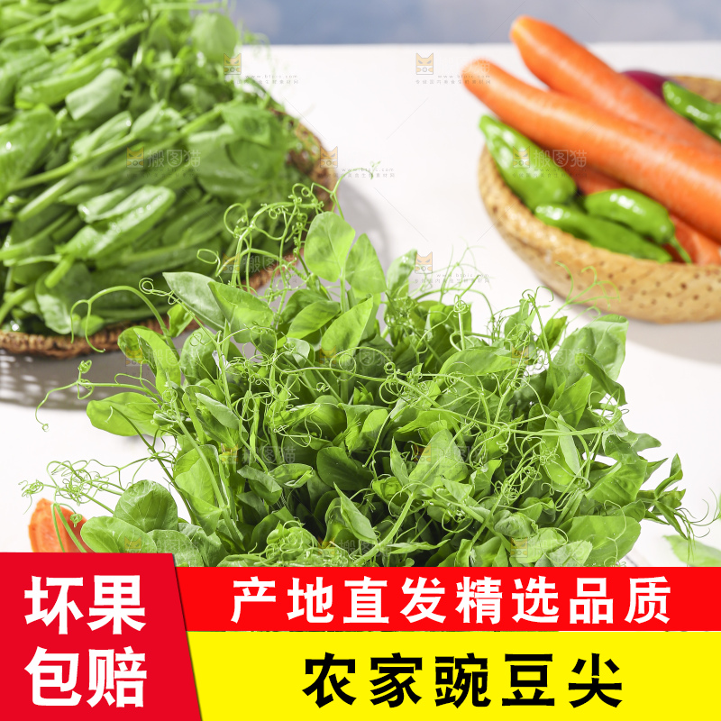 浅底上的豌豆尖