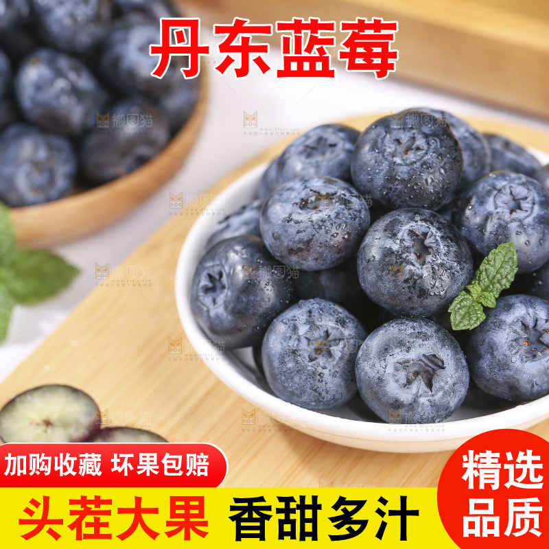 浅底上的新鲜蓝莓