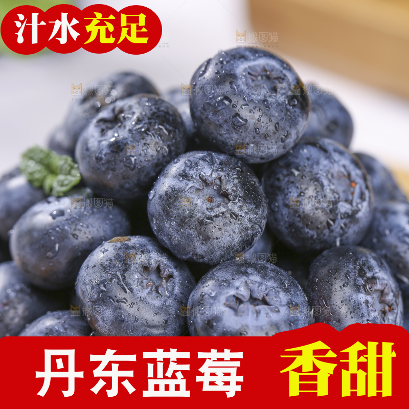 浅底上的新鲜蓝莓