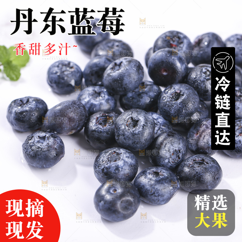 白底上放着的新鲜蓝莓