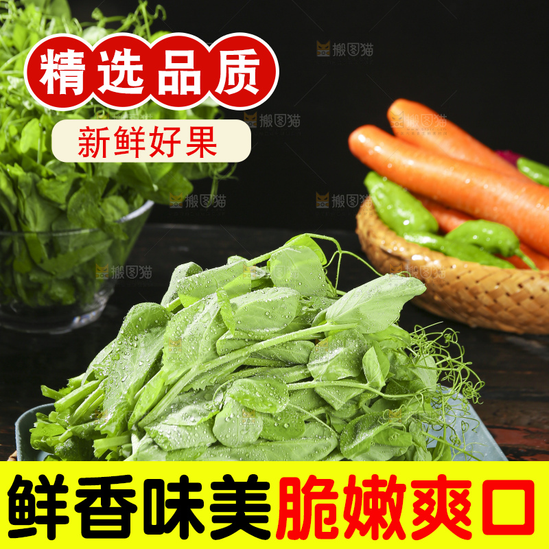 深底上的豌豆苗