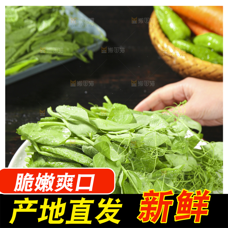 深底上的豌豆苗
