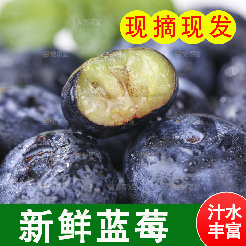 白底上放着的新鲜蓝莓