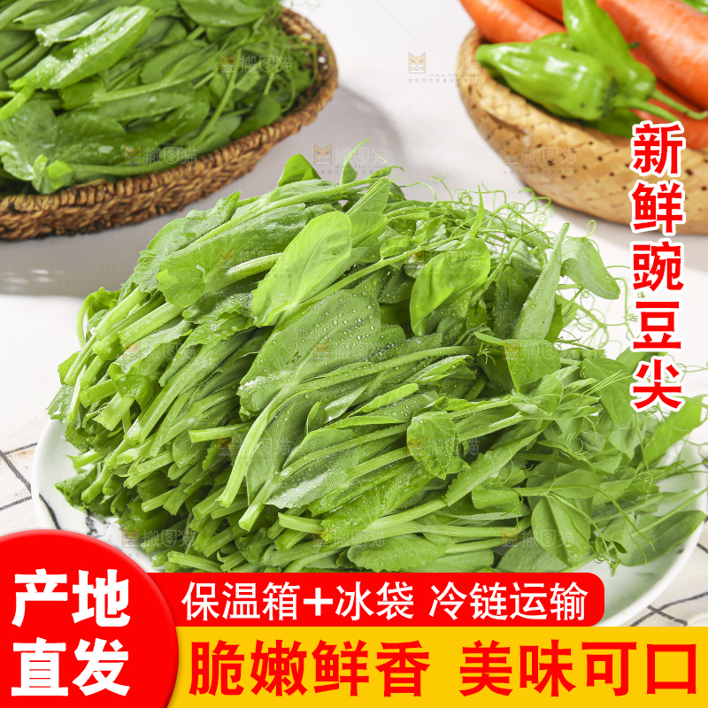 浅底上的豌豆尖