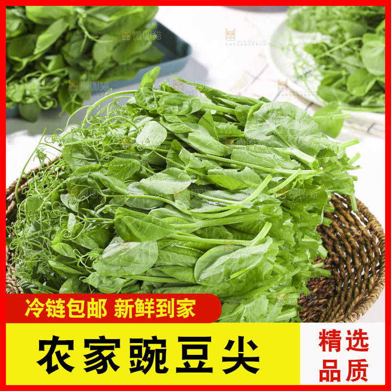 浅底上的豌豆尖