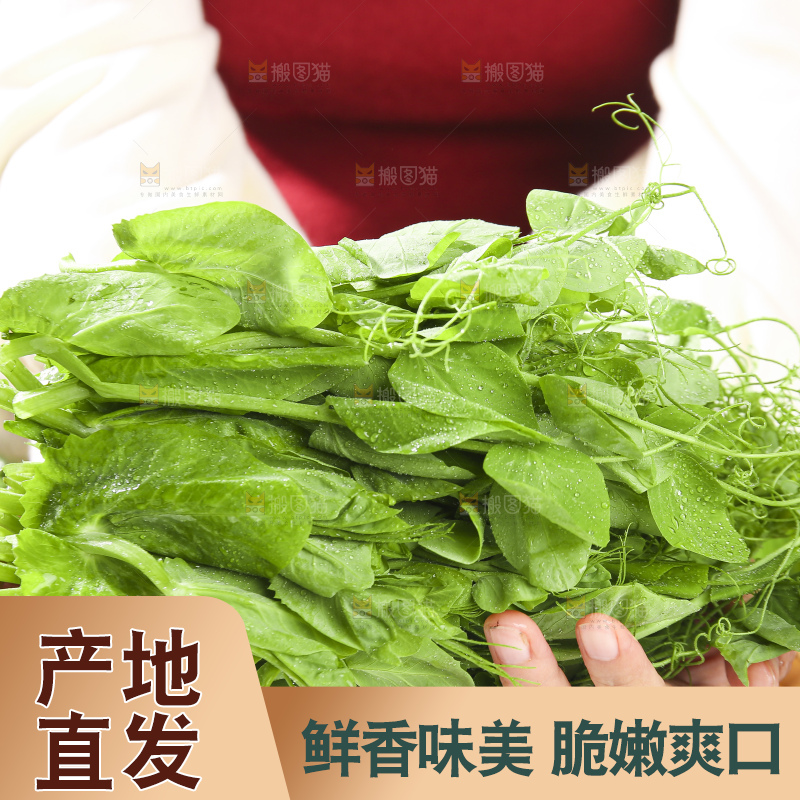 深底上的豌豆苗