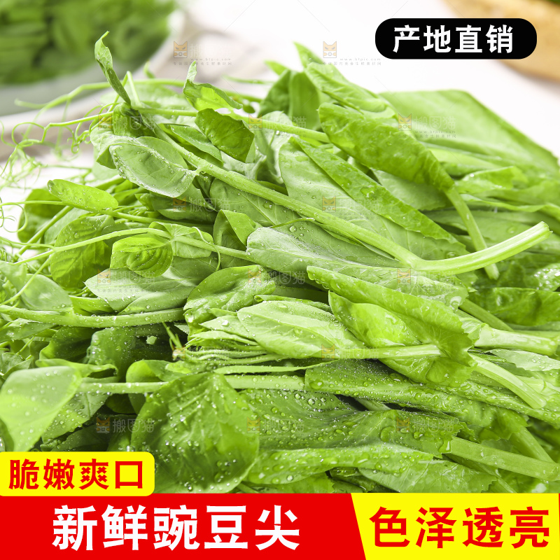浅底上的豌豆尖