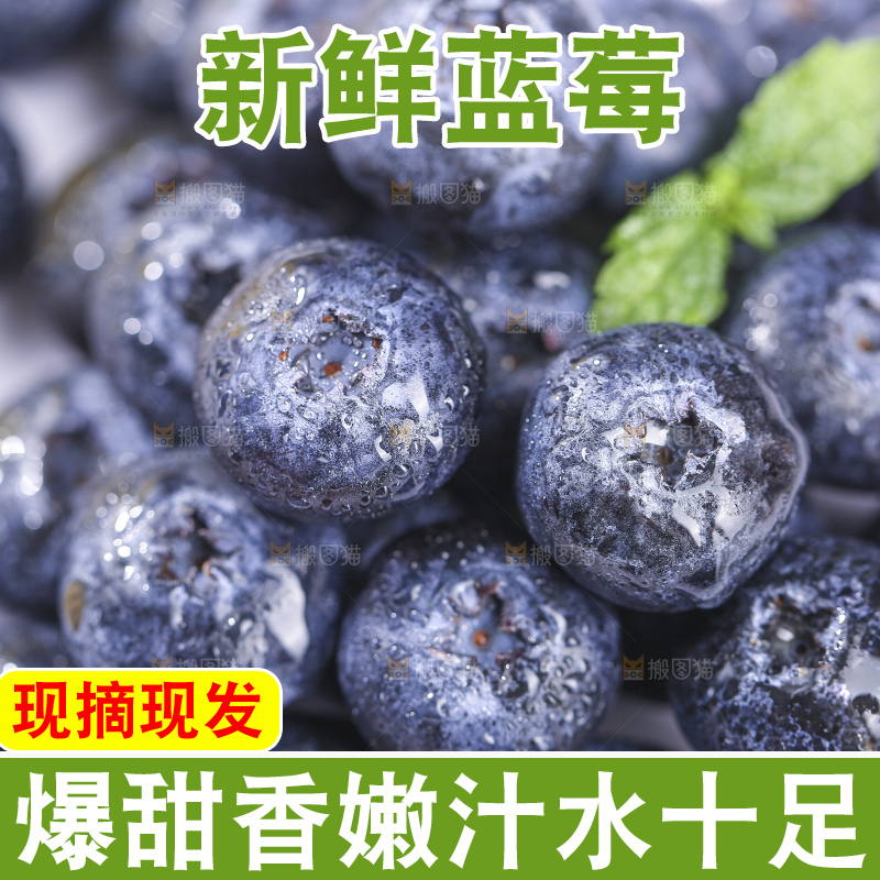 白底上放着的新鲜蓝莓