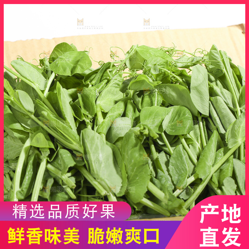 白底上的新鲜豌豆尖