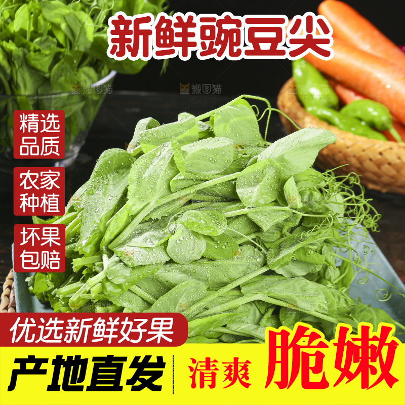 深底上的豌豆苗
