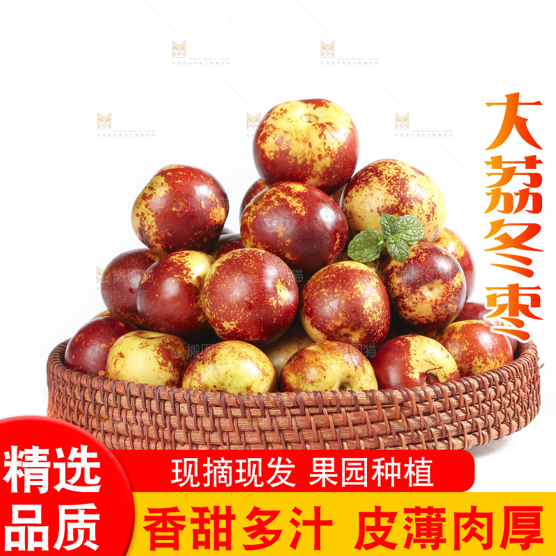 白底上的山东沾化冬枣