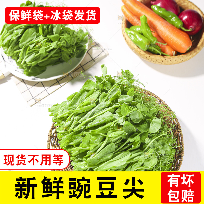 浅底上的豌豆尖