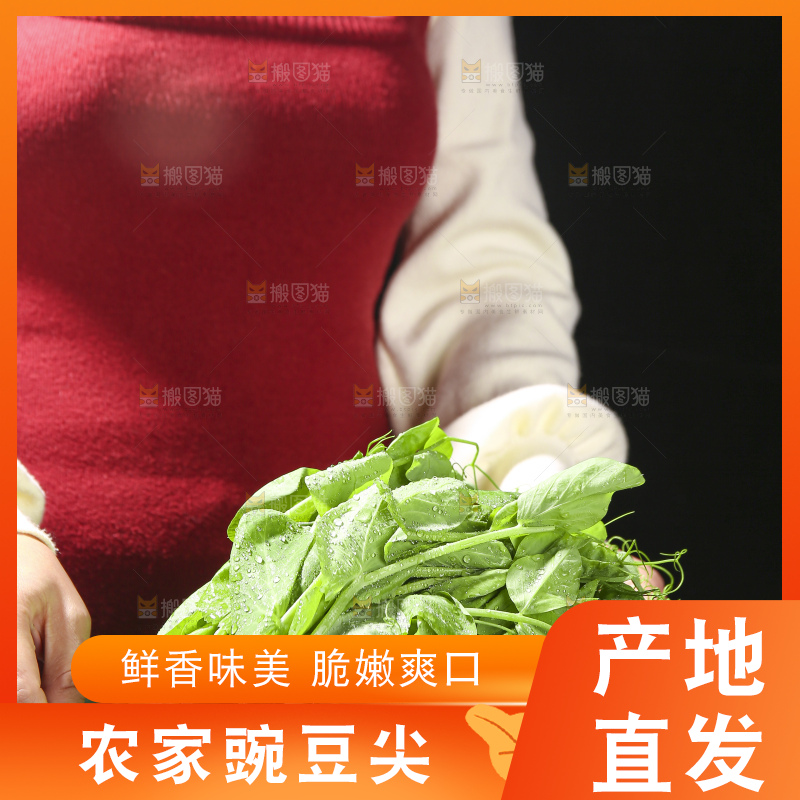 深底上的豌豆苗