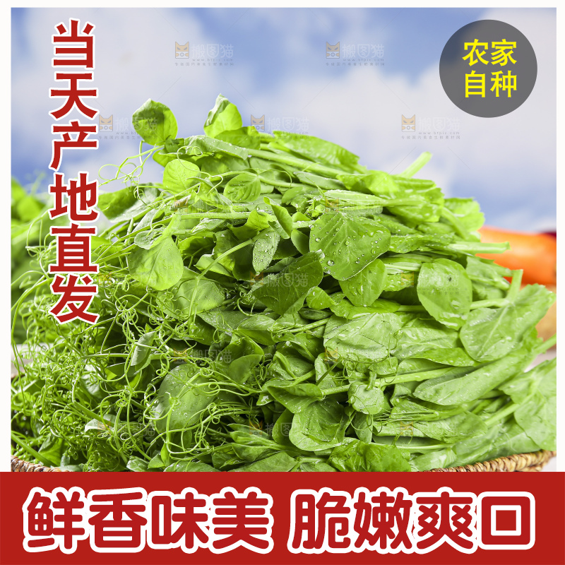 浅底上的豌豆尖