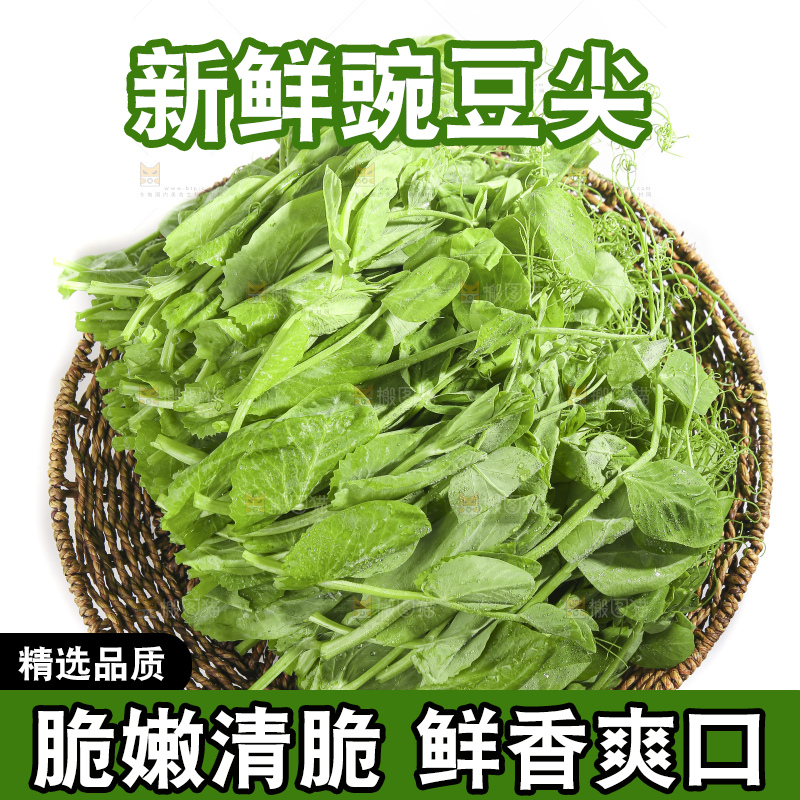 白底上的豌豆苗