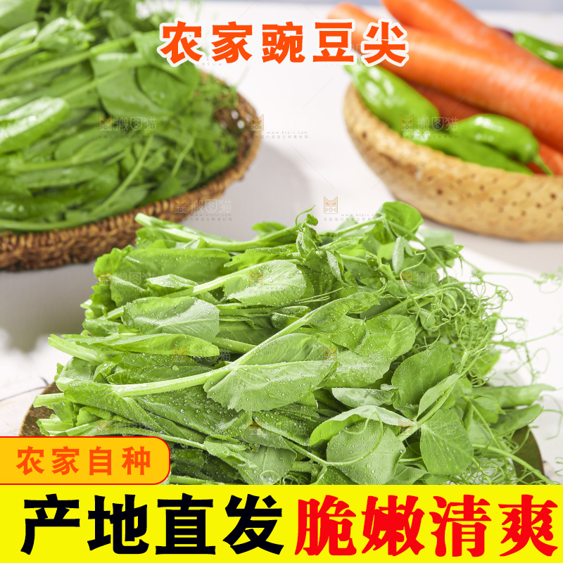 浅底上的豌豆尖