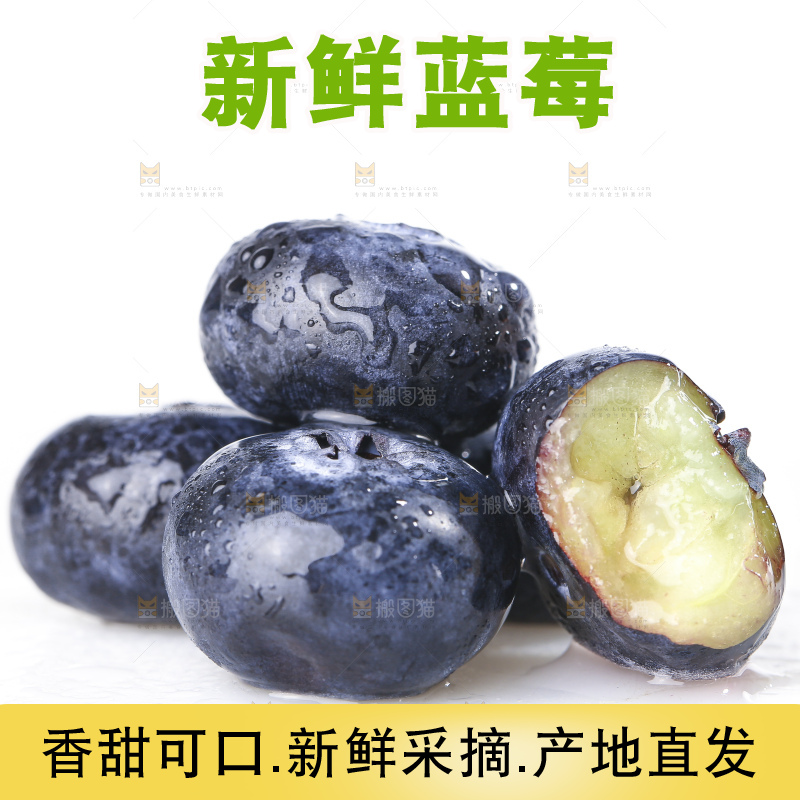 白底上放着的新鲜蓝莓