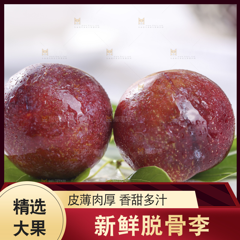 浅底上的脆红李
