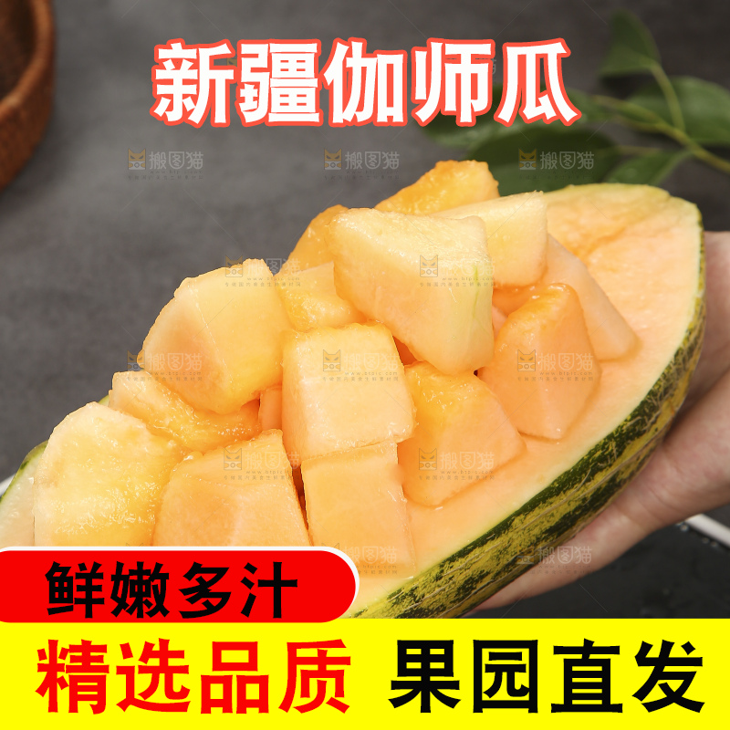 深底上的新疆伽师瓜