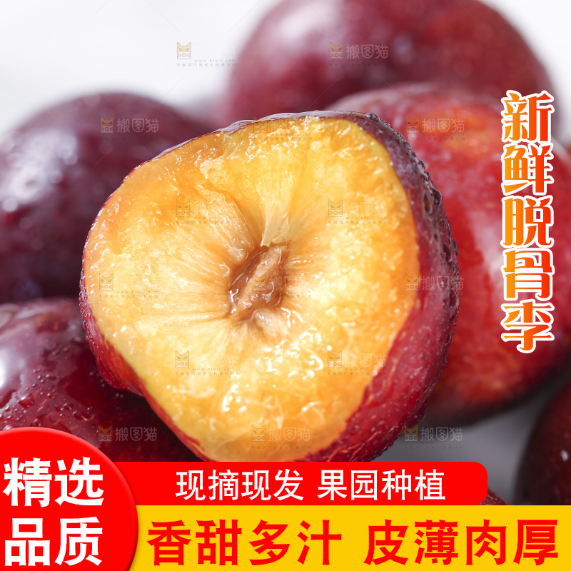 浅底上的脆红李
