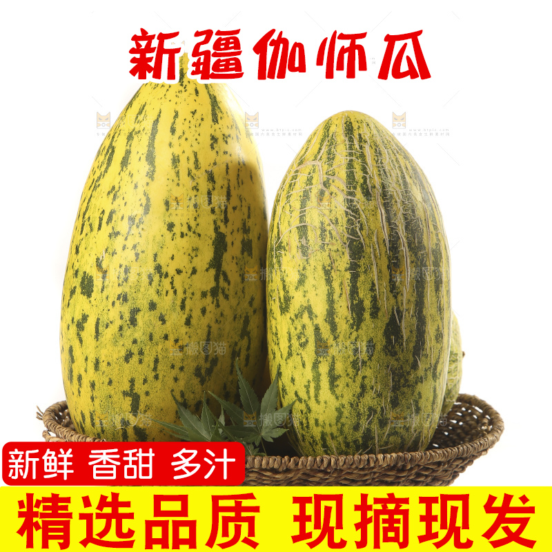 白底上放着新疆伽师瓜