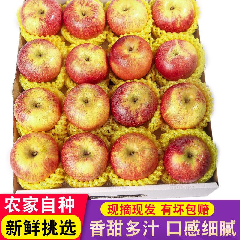 白底上的高原红苹果