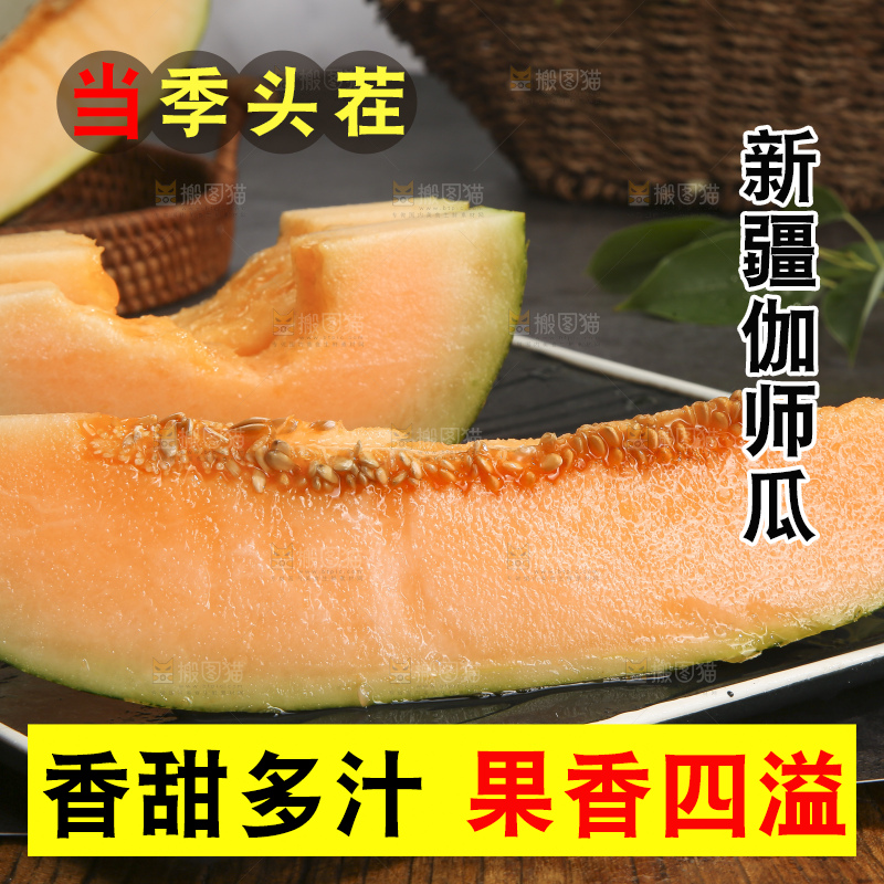 深底上的新疆伽师瓜
