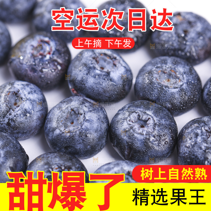 白底上放着的新鲜蓝莓