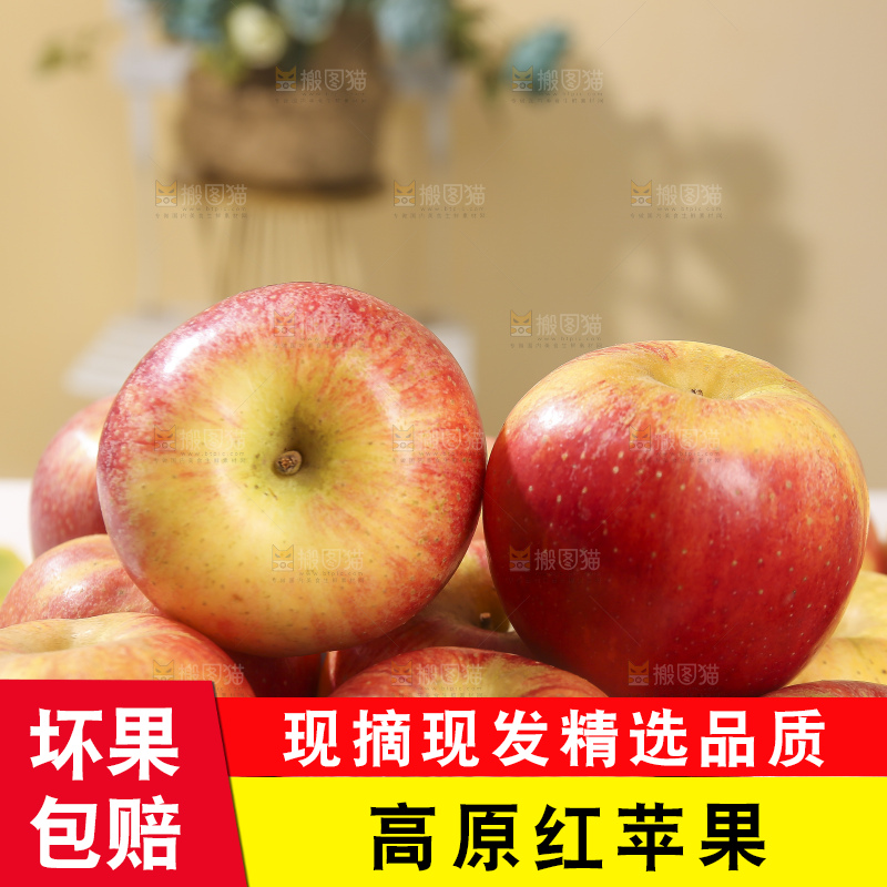 浅底上的高原红苹果